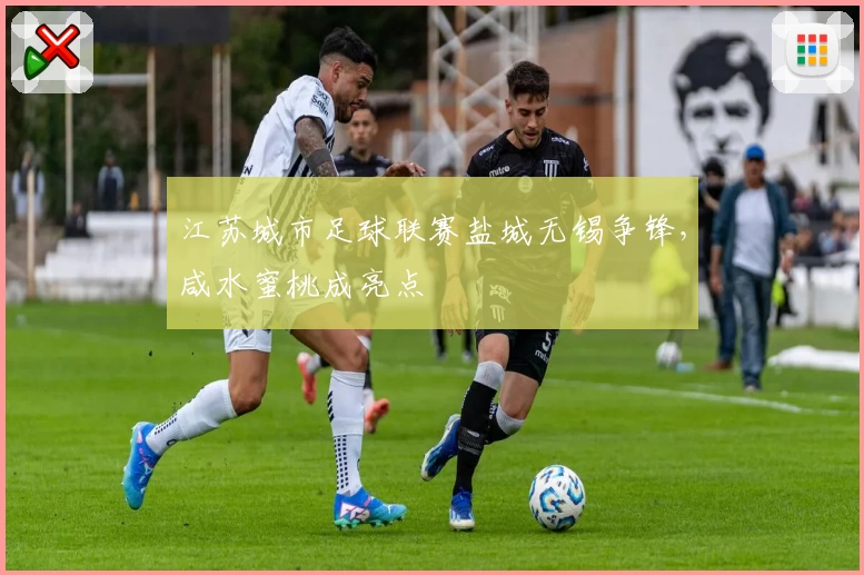 江苏城市足球联赛盐城无锡争锋,咸水蜜桃成亮点
