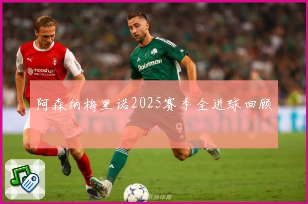 阿森纳梅里诺2025赛季全进球回顾