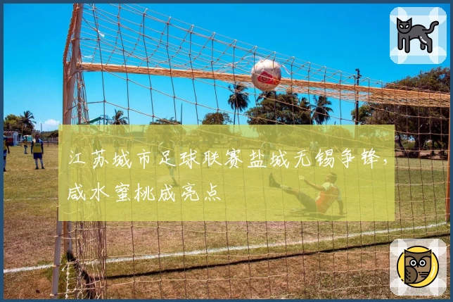 江苏城市足球联赛盐城无锡争锋,咸水蜜桃成亮点
