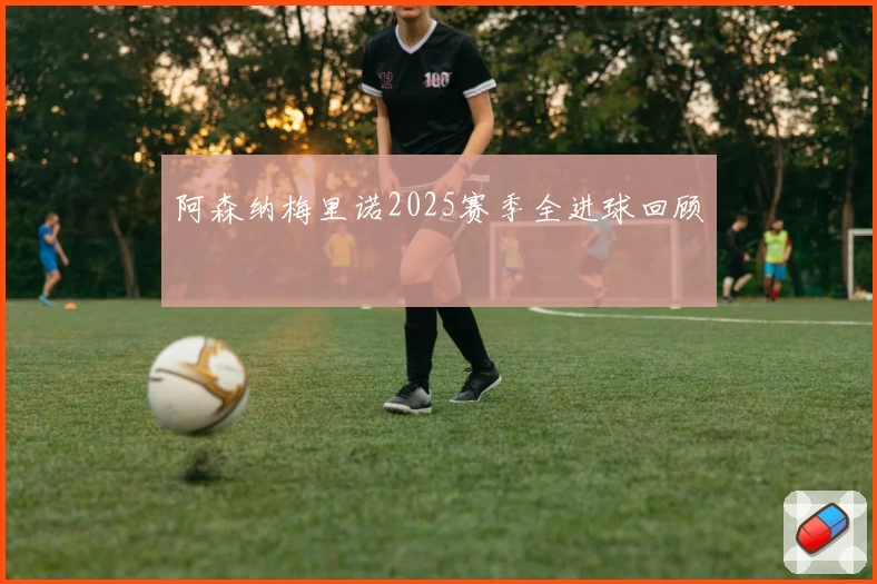 阿森纳梅里诺2025赛季全进球回顾